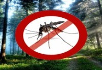 Народные средства от комаров, средства от укусов комаров для детей и взрослых