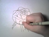 Как научиться рисовать карандашом с нуля поэтапно для начинающих